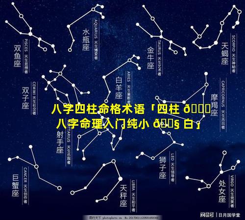 八字四柱命格术语「四柱 🐟 八字命理入门纯小 🐧 白」